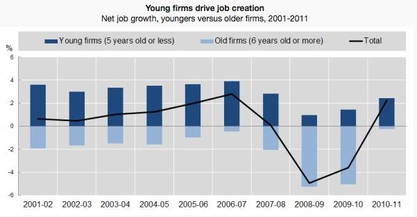 Young Firms