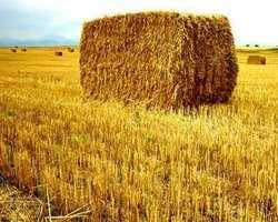 Straw