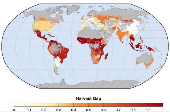 harvest gap