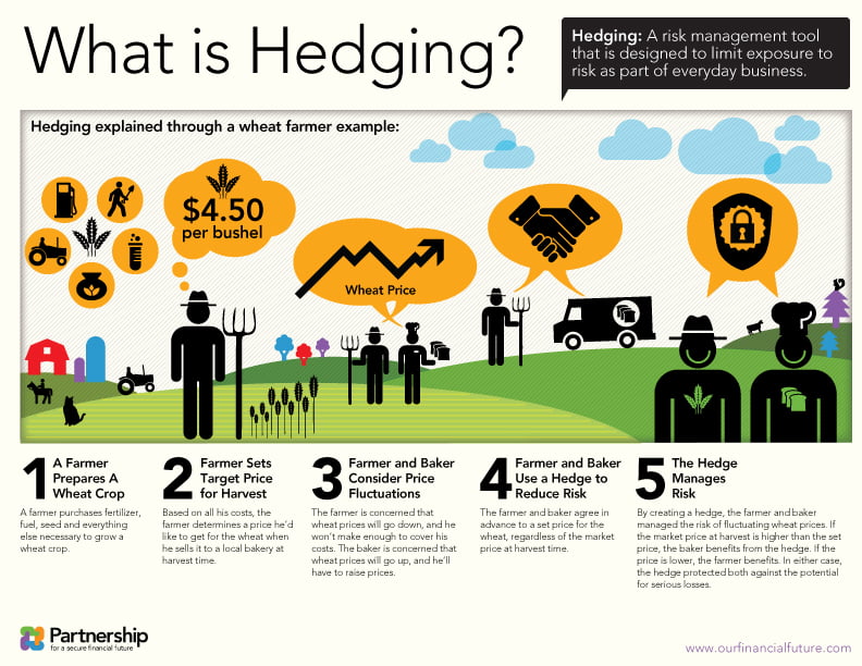 what does hedging currency mean